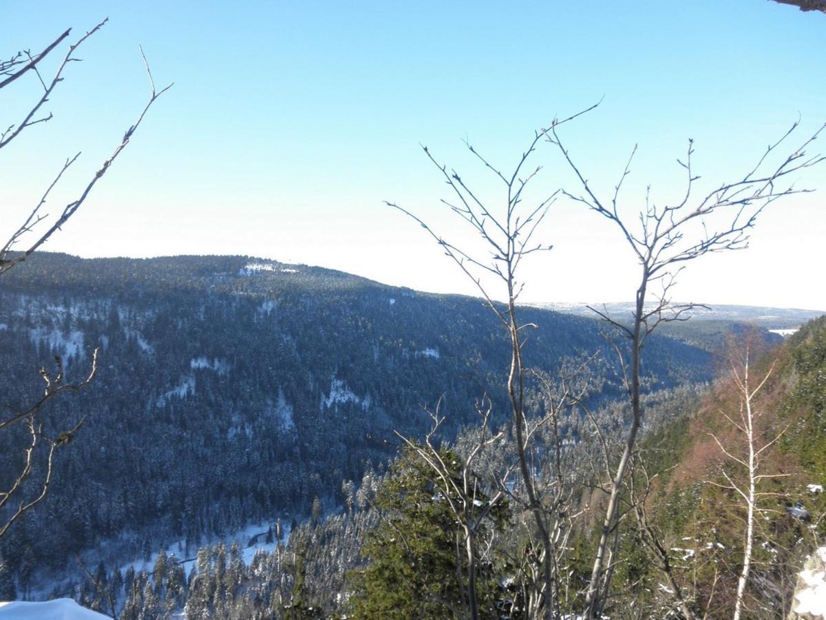 Gaestehaus Mea Vota Braunlage Eksteriør bilde
